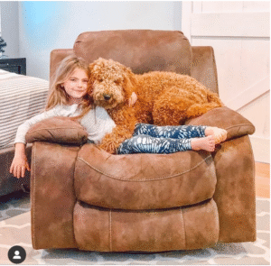 Read more about the article How to Spot a Reputable Bernedoodle Breeder (And Avoid a Puppy Mill)